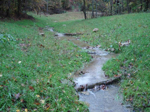 Looking up stream in the same section